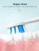 Fairywill P11 Whitening Sonic Electric Toothbrush Rechargeable 8 Brush heads